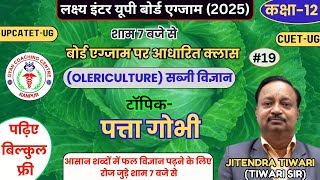 OLERICULTURE//बोर्ड छात्रों के लिए फ्री क्लासेज//TOPIC- CABBAGE // Jitendra Sir