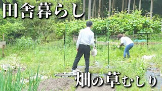 田舎暮らし夫婦、自給自足の為、畑の草むしりをしました