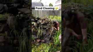 Satisfying Pond Cleaning 🧽 #shorts #satisfying #pressurewash