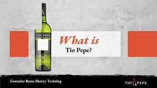 Gonzalez Byass Sherry Training Videos – Tio Pepe