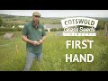 Special Pig-rooting Mix, Herbal Ley & Fast & Vast with Justin Newman  - Cotswold Seeds First Hand