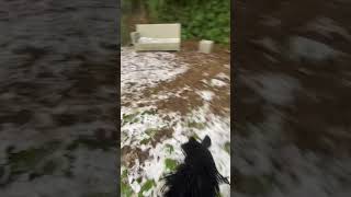 Sorry for bad filming it was really hard to jump in the snow #hobbyhorse #hobbyhorsing #kht