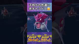 【ポケモンSV】色違い赤ギャラドスがコイキングを引き連れてて素敵すぎた