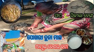 ପୋଖରୀ ଚୁନା ମାଛ /ଆମ୍ଭୁଲ ବେଶର ବଟା/ସାପ 🐍 ଗିଳୀଲା ବେଙ୍ଗ/ଓଡ଼ିଆ vlogger madhusmita pinky/mine vlog