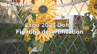 Expo 2023 Doha: Showcasing innovative and sustainable solutions to desertification | Qatar 365