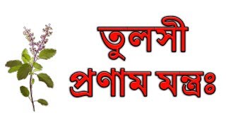 তুলসী প্রণাম মন্ত্রঃ । Tulsi Pranam Mantra #HinduShastra