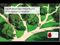 Curso: Despertar do Terapeuta