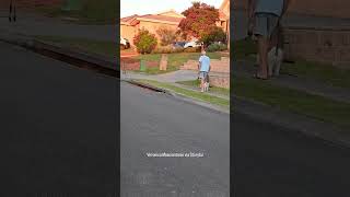 Man and dog unfazed by close encounter with kangaroo