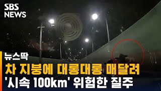 '시속 100km' 차 지붕에 대롱대롱…위험한 질주 / SBS / 뉴스딱