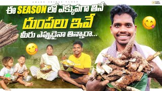 ఈ దుంపలు కోసం నిర్మల చాలా కష్టపడింది ||పాప బాబు ఈ వీడియోలో అల్లరి మామూలు లేదు ||Araku Tribal Vlogs