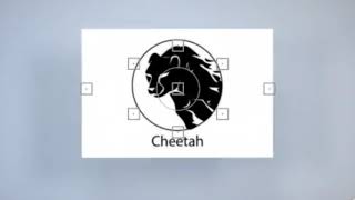 Cheetah logo