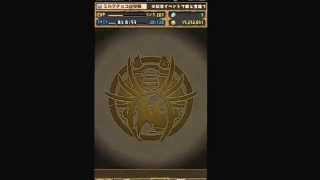 パズドラ聖闘士星矢コラボガチャを3回ひいてみた！