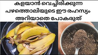 പഴത്തൊലി ഇനി ഒരിക്കലും വലിച്ചെറിഞ്ഞുകളയരുതേ, അറിയാം പഴത്തൊലിയുടെ ഈ രഹസ്യം | Banana peel reuse