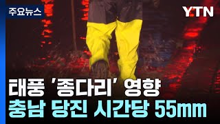 태풍 '종다리' 영향...충남 당진 시간당 55mm 폭우 / YTN