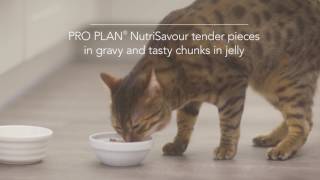 Purina ProPlan NutriSavour