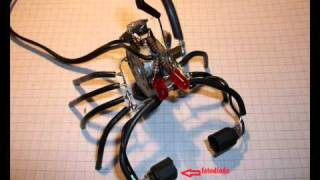 video 2: Como armar un robot Escorpibot de Mimoks / how to build an Escorpibot robot by Mimoks