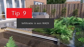 Tip 9 - Infiltration in a WADI