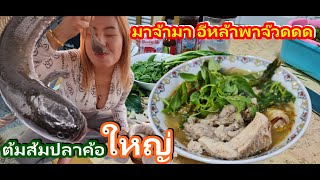 ต้มส้มปลาค้อใหญ่ แซ่บบ่ซำจำสูตรบ่ได๋