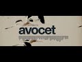 winterwell - Avocet (Official Visualizer)