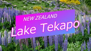 【ニュージーランド】NEW ZEALAND、レイク・テカポ　Lake Tekapo