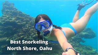 BEST place for SNORKELING in the NORTH SHORE of Oahu, Hawaii | Shark's Cove | Full Day itinerary