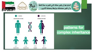 Patterns for Complex Inheritance - Part 4