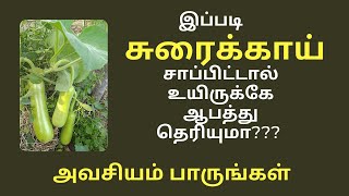 இப்படி சுரைக்காய் சாப்பிட்டால் உயிருக்கே ஆபத்து தெரியுமா???  | Side effects of Bottle Gourd Juice