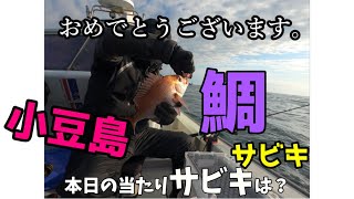 鯛サビキ 小豆島 鯛 ボート釣り プレジャーボート　本日の当たりサビキは？？ シマノ 電動リール