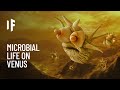 What If There Is Life on Venus?