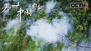 《美丽中国自然》 秘境探幽：独龙江的高山峡谷与高黎贡山的原始传奇 山水岁月系列【CCTV纪录】