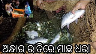 ଅନ୍ଧାର ରାତିରେ ମାଛ ଧରା//village//villagelife//simplelifevlog