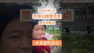 洪湖公园深圳荷花展，第五天（20240619）实地探访开放情况！开放的荷花还是少数，最佳打卡位置（芙蓉桥下）基本没开花，可以等几天再来 #荷花 #洪湖公园 #深圳 #荷花 #我的骄傲 #杨培安 #探店