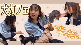 親子で犬カフェ大興奮な初体験！！一緒に癒されてね♪