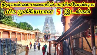 Top 5 Tourist Places in Tiruvannamalai || திருவண்ணாமலையில் பார்க்க வேண்டிய மிக முக்கியமான 5 இடங்கள்