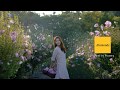Welcome to Mamonde Garden