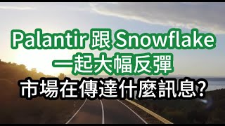 Palantir 跟 Snowflake 一起大幅反彈 市場在傳達什麼訊息?