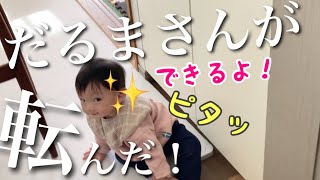 【母笑い涙】双子0歳と兄8歳のだるまさんが転んだ！/生後10ヶ月の赤ちゃん