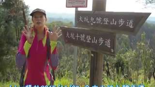 台中大坑地震公園九號步道