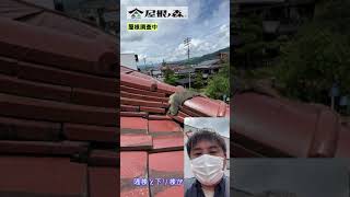 【現場映像】雨漏りで天井にシミが発生した原因を探る#Shorts