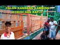 TUTORIAL MEMBUAT KANDANG KAMBING BAKOH || TAHAB AWAL, PART 1