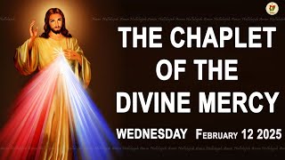 Chaplet of the Divine Mercy I Wednesday February 12 2025 I Divine Mercy Prayer I 12.00 PM