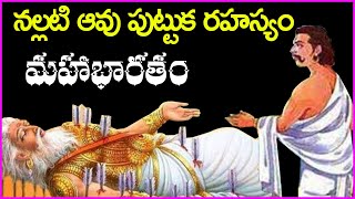 నల్లటి ఆవు పుట్టుక రహస్యం - Birth Secret of Black Cow | Mahabharatam | Bheeshma | Dharmaraju