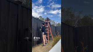 STAINING OUR WOODEN FENCE BLACK! #shortsfeed #shorts #shortsviral