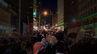 Toronto Palestine Protest #israel #palestine