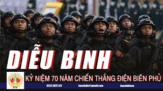 🔴 Tường Thuật | Tổng duyệt lễ diễu binh, diễu hành 70 năm chiến thắng Điện Biên Phủ | BTV