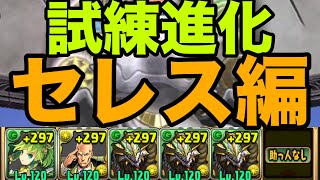 【試練ダンジョン】正月ノルディスずらしで楽々試練進化　セレス編【パズドラ】