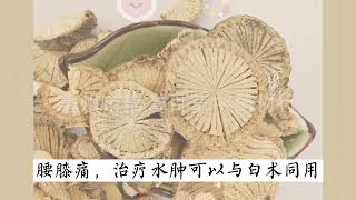 青风藤，祛风湿，通经络，利小便，用于风湿痹痛，水肿脚气等