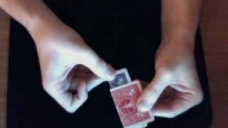 Bermuda Rectangle.avi