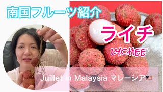 【ﾏﾚｰｼｱ】南国ﾌﾙｰﾂ「ﾗｲﾁ」について動画で解説