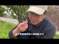 看看老大姐说的从小吃到大的野菜是什么？